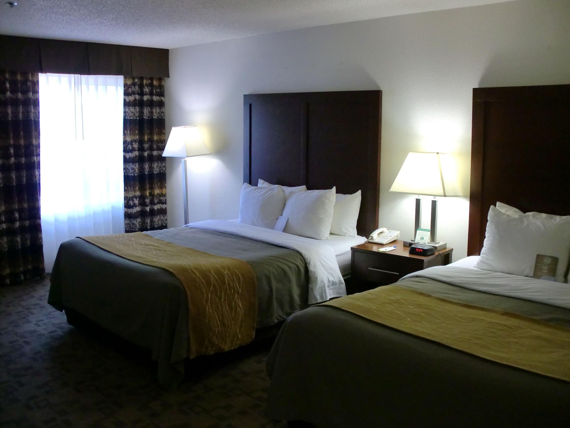 Comfort Inn Birch Run Exterior photo