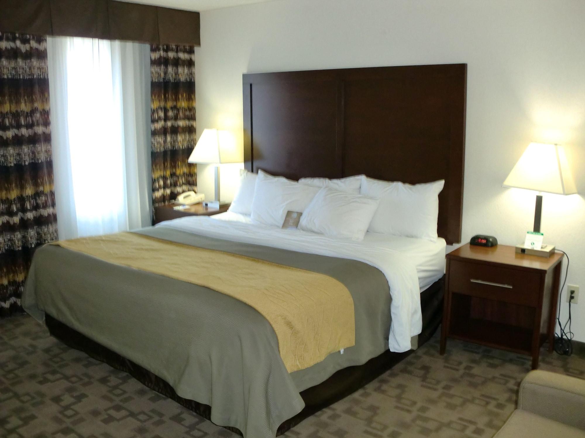 Comfort Inn Birch Run Exterior photo