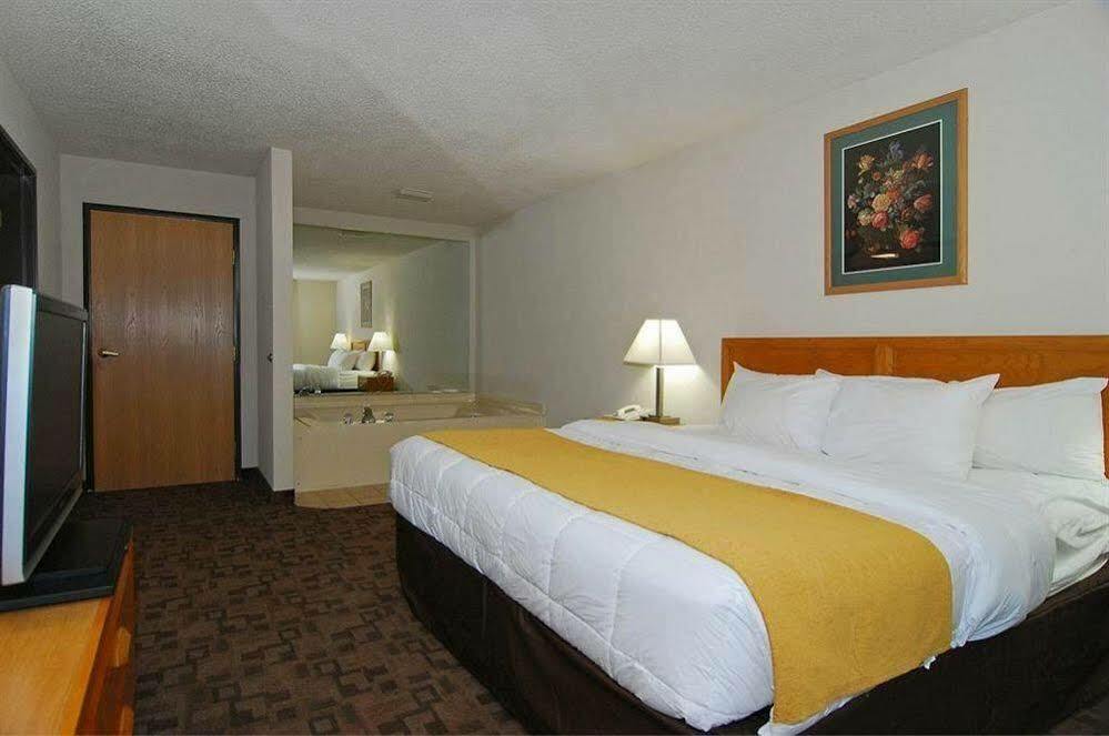 Comfort Inn Birch Run Exterior photo